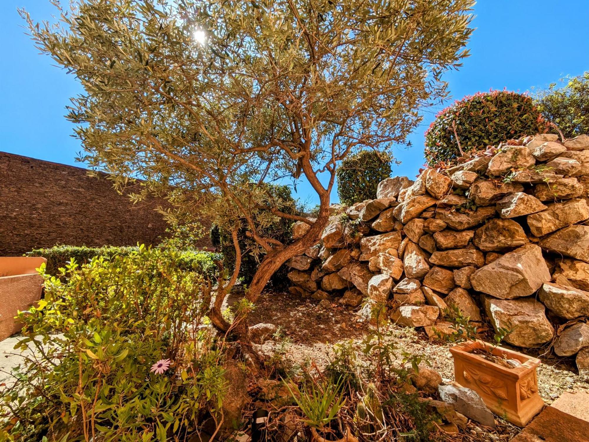 Appartement Central Avec Parking, Terrasse Et Wifi Collioure Exterior foto